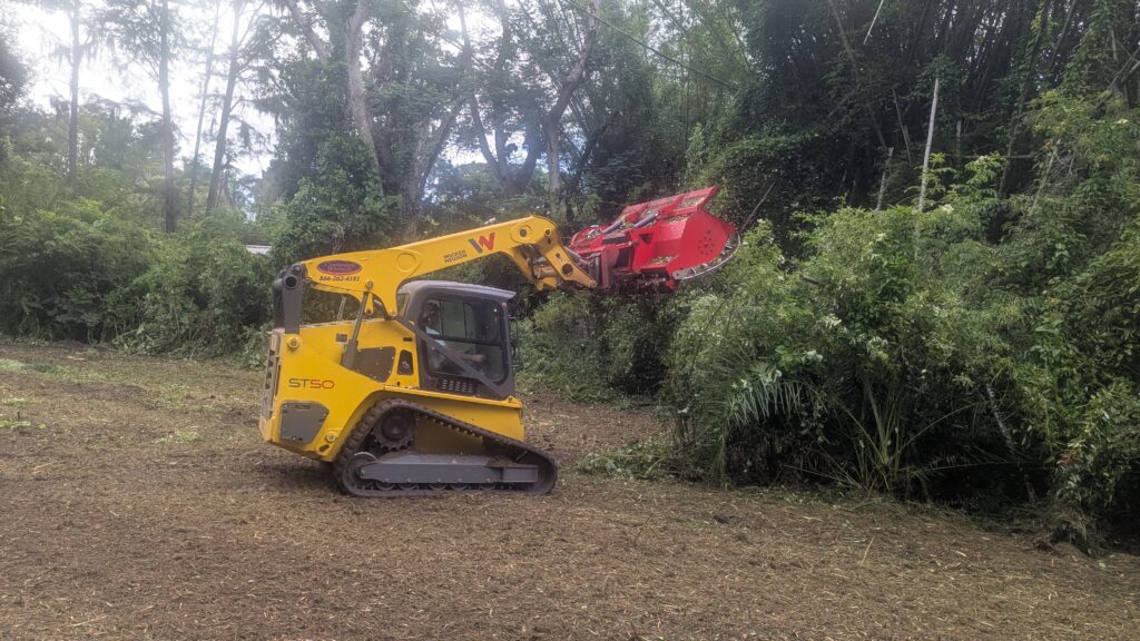 Forestry Mulching:
