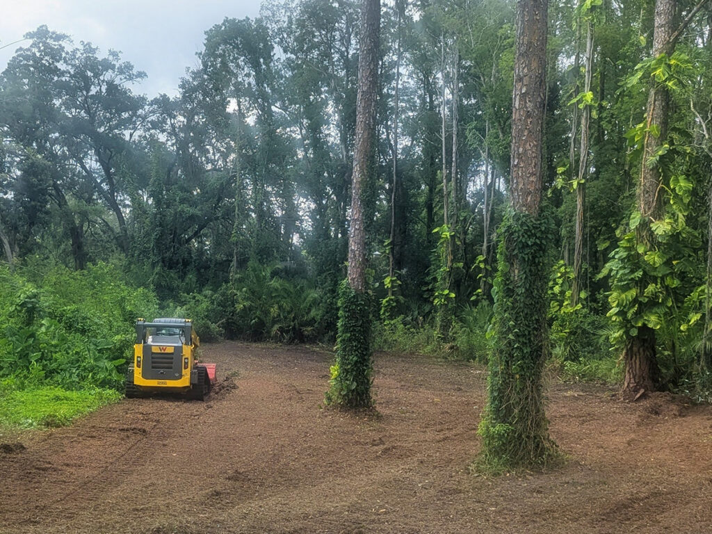 Forestry Mulching