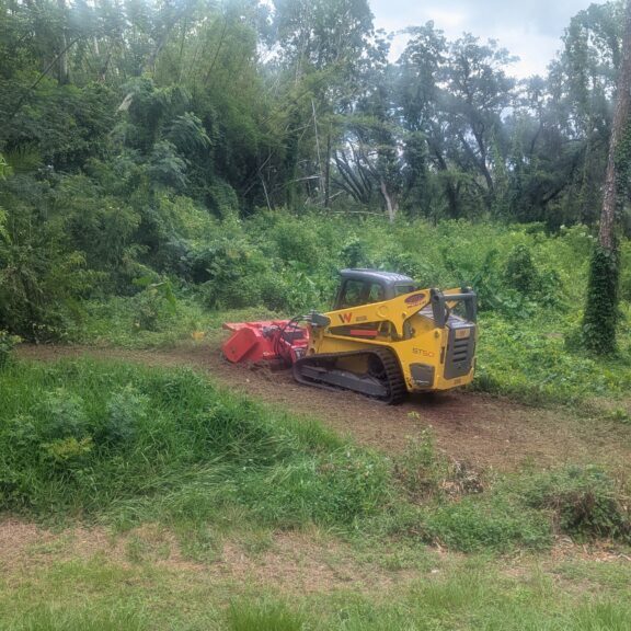 Forestry Mulching: