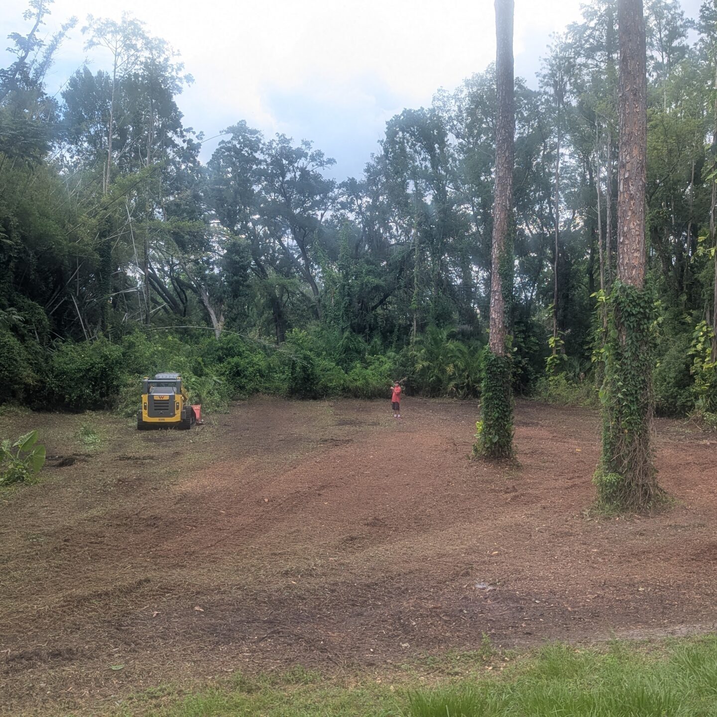 Forestry Mulching: